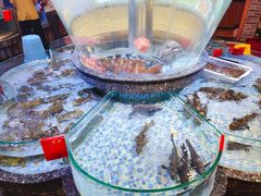 -德胜轩正宗顺德菜(宝安沙井会展中心店)