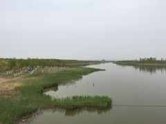 -西青郊野公园