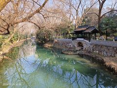 -红梅公园