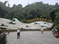 -西双版纳原始森林公园