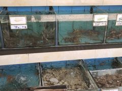 水产区-秋姐美食店(旅游大道店)