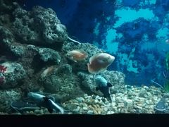 -苏州海洋馆