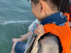 -五缘湾游艇帆船俱乐部