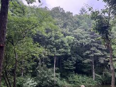 -洛阳白云山景区