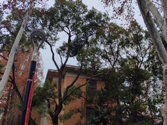 -同济大学-北苑食堂