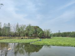 -洋湖国家湿地公园