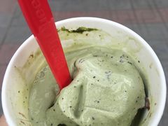 绿茶暴风雪-Dariy Queen