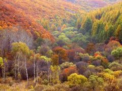 -阿尔山市大兴安岭奥伦布坎景区