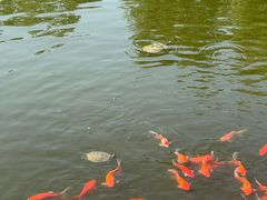 -西海子公园