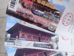 -中华三祖圣地黄帝城遗址文化旅游区