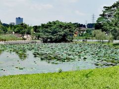 -宝安西湾红树林湿地公园