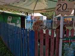 -萌宠亲子动物乐园(槐房万达店)