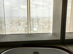 -上海柏悦酒店