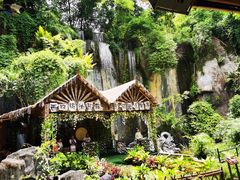 -西双版纳原始森林公园