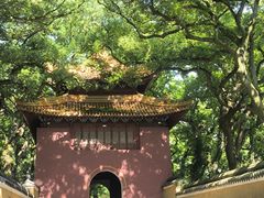 -普陀山风景名胜区-法雨禅寺