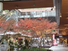 -瑞虹新天地月亮湾