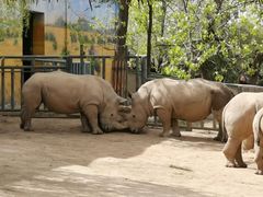 -西安秦岭野生动物园