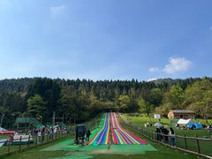 -武陵山森林公园