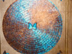 -上海昆虫博物馆