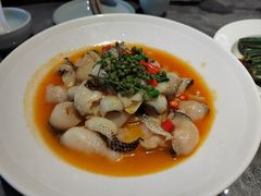 -1937青岛老味道·海肠捞饭·青岛菜(大鲍岛栈桥店)