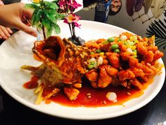 -苏城小院·园林精致苏州菜(斜塘老街店)