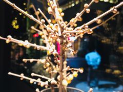 -都氏家DUSJOY(翡翠城店)