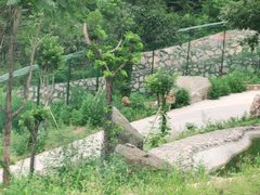 -栾川竹海野生动物园