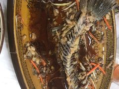 -乡土特色.冷锅鱼.牦牛肉汤锅