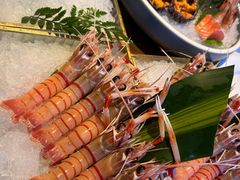 -Mr.Fish鱼鲜生海鲜放题(高德置地冬广场店)