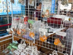 -蓝湾碧波·老字号·疍家非遗海上餐厅