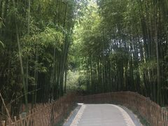 -宝鸡植物园