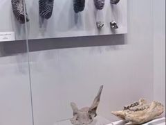 -齐齐哈尔市博物馆