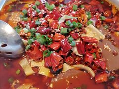 重庆毛血旺-渝信川菜(长安店)