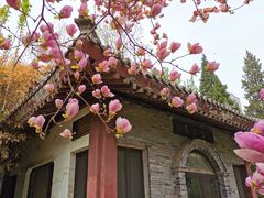 -团结湖公园