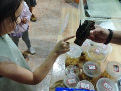 -上海大自然野生昆虫馆(东方明珠·爬宠昆虫探索中心)