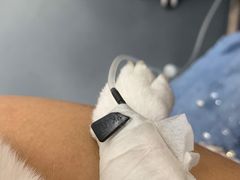 -爱侣宠医·鹦鹉专科·小型哺乳类·异宠专科(灵石路店)