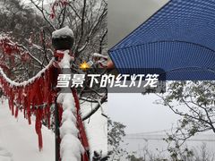 -凤凰欢乐谷