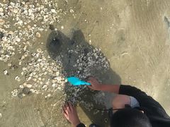 -北海金海湾红树林生态旅游区