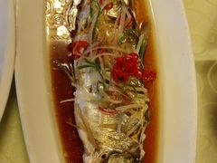 -龙记烧腊茶餐厅(常德路店)