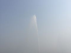 -武清南湖绿博园