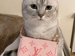 -成裕雪糕店(士多店)