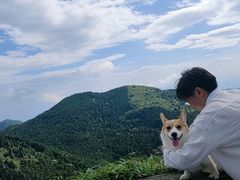 -武陵山森林公园