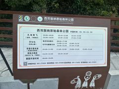 -西双版纳原始森林公园