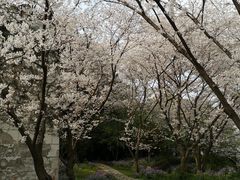 -苏州上方山国家森林公园