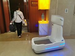 -郑州新郑国际机场T2航站楼-贵宾厅B区