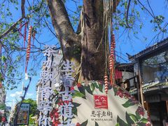 -正宗杨记普洱酸醋米线(总店)
