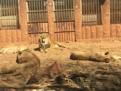 -昆明动物园