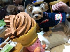 -萌牛肠烧烤店(虹梅路店)