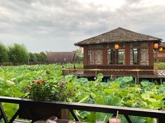 -军山湖云水间生态农业旅游景区