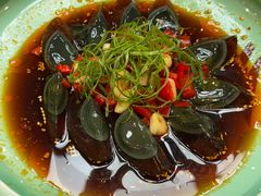 -丁老爷子苏香圆